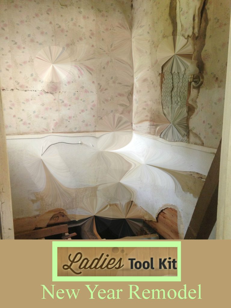 www.ladiestoolkit.com